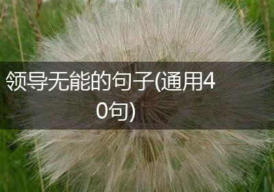 领导无能的句子(通用40句)