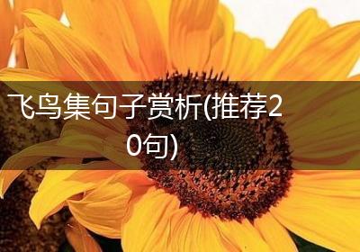 飞鸟集句子赏析(推荐20句)