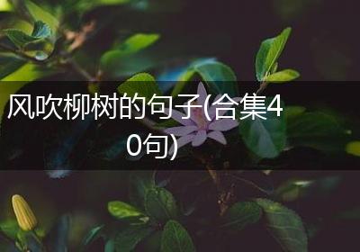 风吹柳树的句子(合集40句)