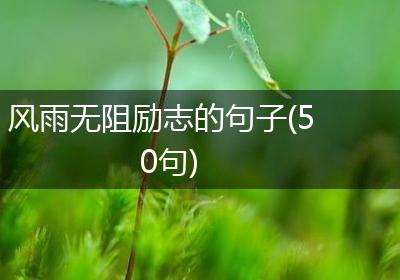 风雨无阻励志的句子(50句)