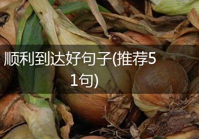 顺利到达好句子(推荐51句)