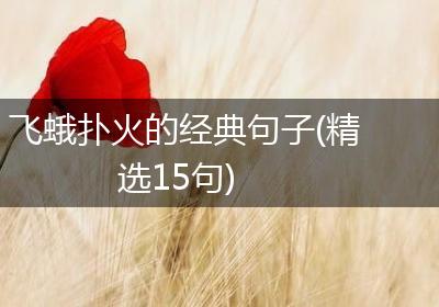 飞蛾扑火的经典句子(精选15句)