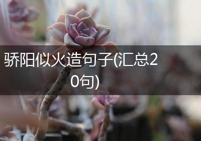骄阳似火造句子(汇总20句)