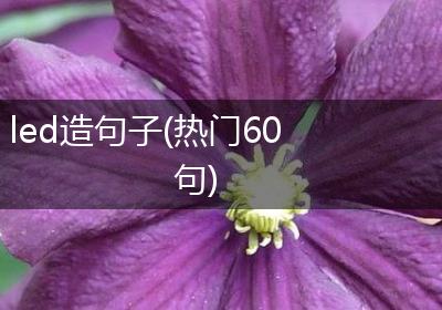 led造句子(热门60句)