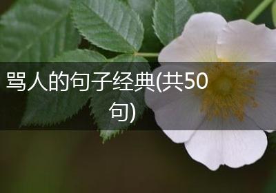 骂人的句子经典(共50句)