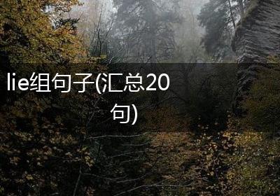 lie组句子(汇总20句)