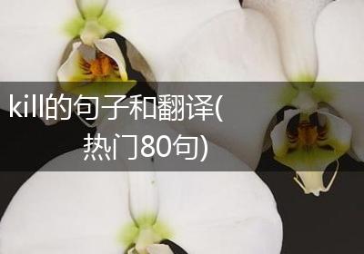 kill的句子和翻译(热门80句)