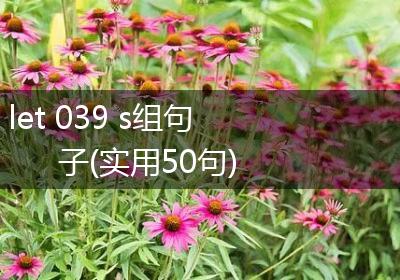 let 039 s组句子(实用50句)