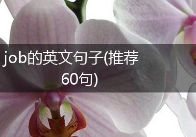 job的英文句子(推荐60句)
