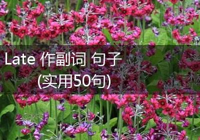 Late 作副词 句子(实用50句)