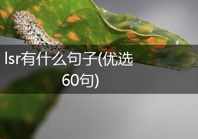 lsr有什么句子(优选60句)