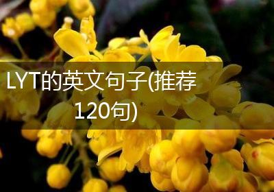 LYT的英文句子(推荐120句)