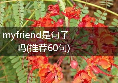 myfriend是句子吗(推荐60句)