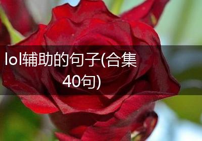 lol辅助的句子(合集40句)