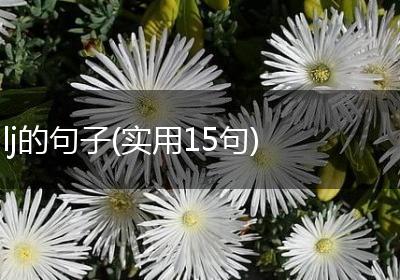 lj的句子(实用15句)