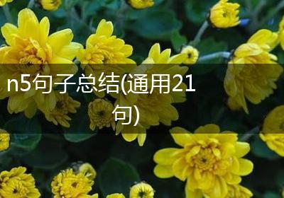 n5句子总结(通用21句)