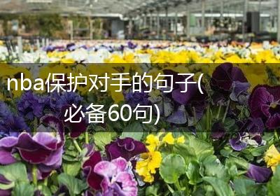 nba保护对手的句子(必备60句)