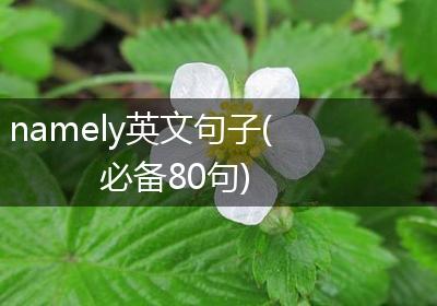 namely英文句子(必备80句)