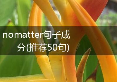 nomatter句子成分(推荐50句)