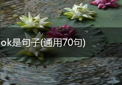 ok是句子(通用70句)