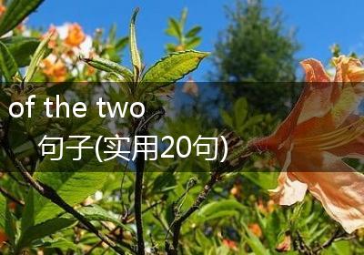 of the two 句子(实用20句)