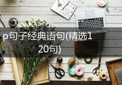 p句子经典语句(精选120句)