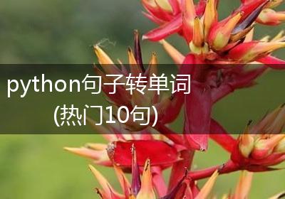 python句子转单词(热门10句)
