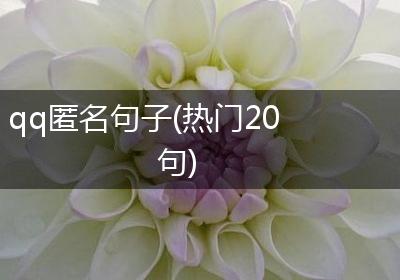 qq匿名句子(热门20句)