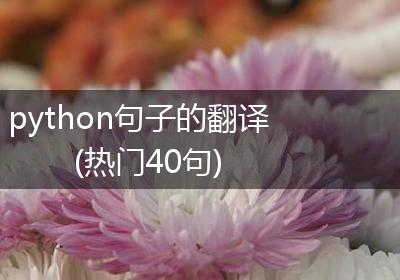 python句子的翻译(热门40句)