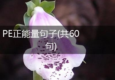PE正能量句子(共60句)