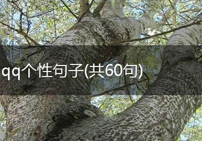 qq个性句子(共60句)
