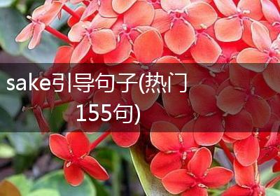 sake引导句子(热门155句)