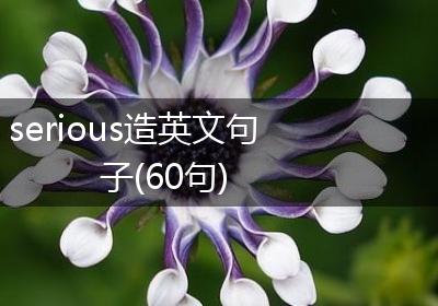 serious造英文句子(60句)