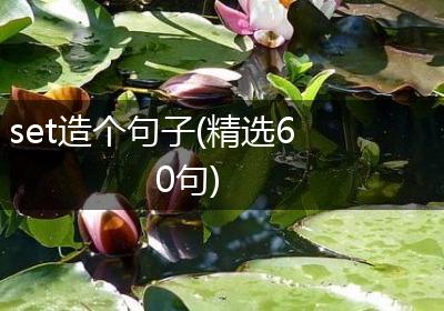 set造个句子(精选60句)