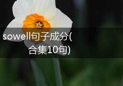 sowell句子成分(合集10句)