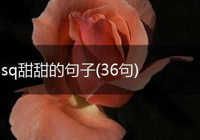 sq甜甜的句子(36句)
