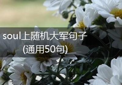 soul上随机大军句子(通用50句)