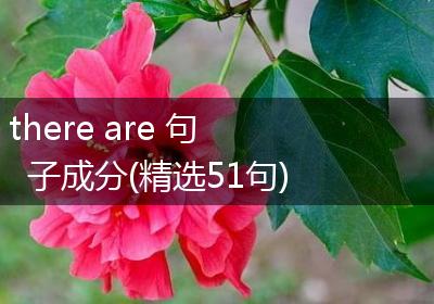 there are 句子成分(精选51句)