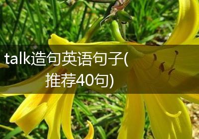 talk造句英语句子(推荐40句)