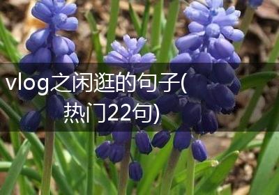 vlog之闲逛的句子(热门22句)
