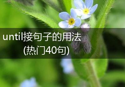 until接句子的用法(热门40句)