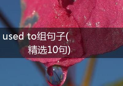 used to组句子(精选10句)