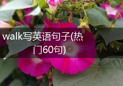 walk写英语句子(热门60句)