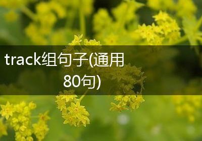 track组句子(通用80句)