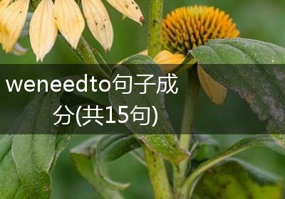 weneedto句子成分(共15句)