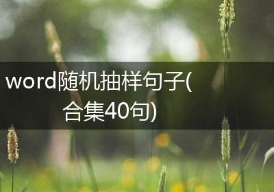 word随机抽样句子(合集40句)