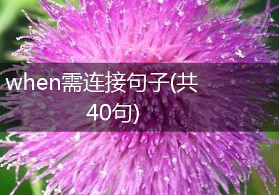 when需连接句子(共40句)