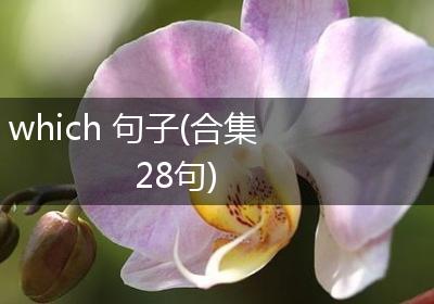 which 句子(合集28句)