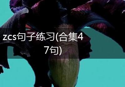 zcs句子练习(合集47句)