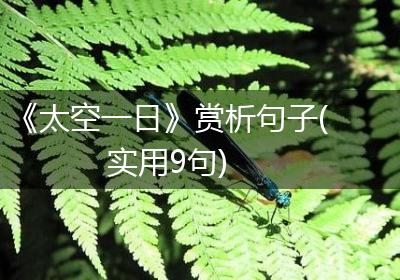 《太空一日》赏析句子(实用9句)